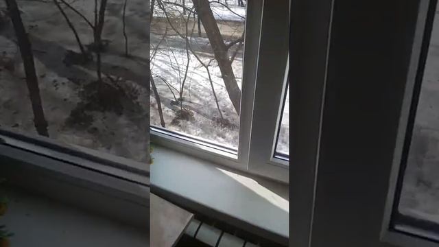 Герметизия окон! Было? / Стало?