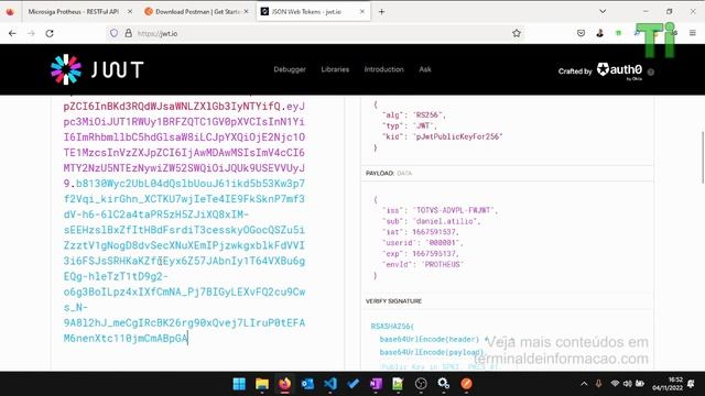 REST - Usando Bearer Token (Aula 16 do Curso WebServices em AdvPL - REST e SOAP) смотреть онлайн