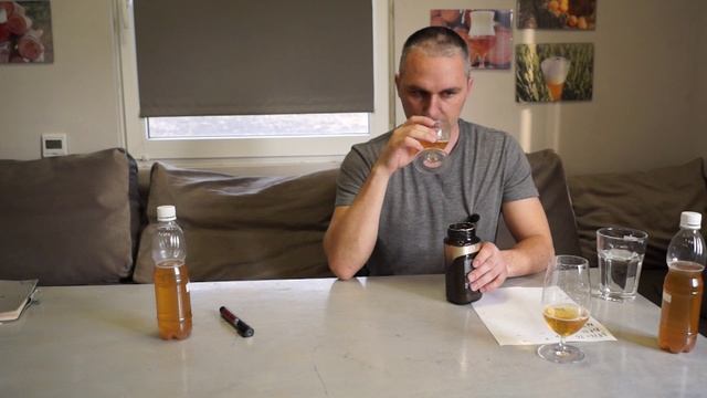 Эксперимент с лагерными дрожжами!Домашний лагер!Дегустация! смотреть онлайн