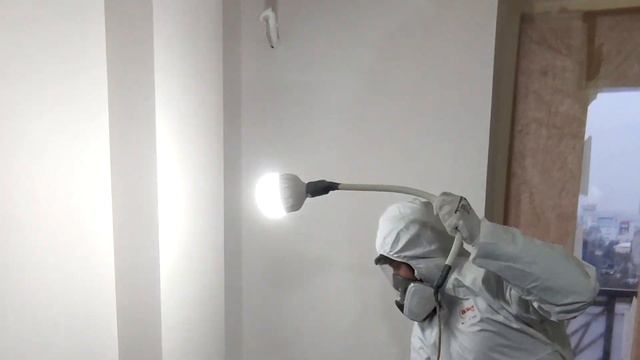 Ідеальне фарбування разом із FEIDAL Seidenmatt 7!