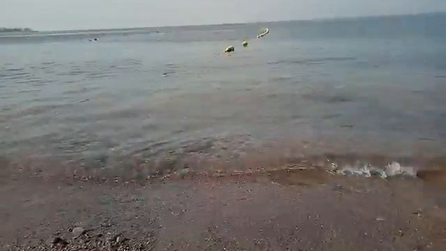 пляж Талабей, Акаба, Иордания, шум Красного моря） смотреть онлайн