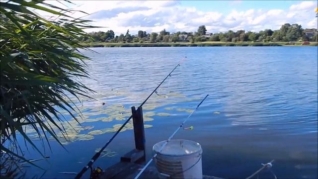 ДОНКА для НАЧИНАЮЩИХ. Простая и уловистая оснастка. смотреть онлайн