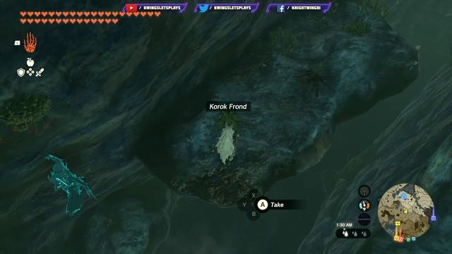 Legend of Zelda Tears of the Kingdom Adventures Part 26 Thug Link Climbing Set! (Nintendo Switch) смотреть онлайн