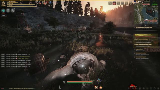 Обзор на новый сервер Black Desert (NewAgeBD) смотреть онлайн