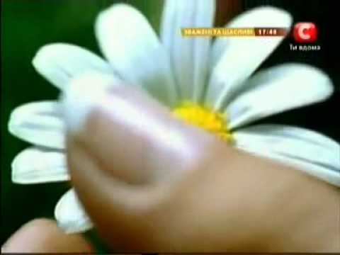 Алсу. Канал СТБ, Украина - 