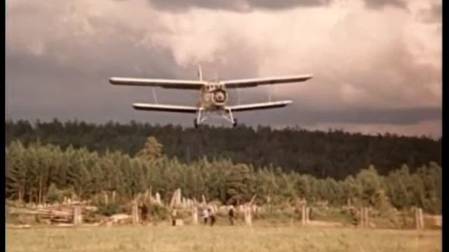 Самолет кукурузник красиво идет на посадку