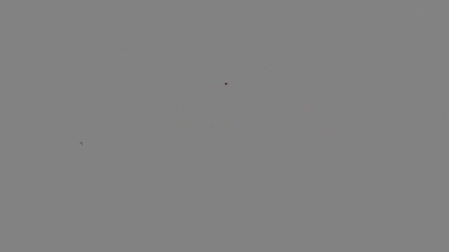 Soothing Night Time Forest Sounds | Crickets Chirping at Night - Nature Sounds for Sleep смотреть онлайн