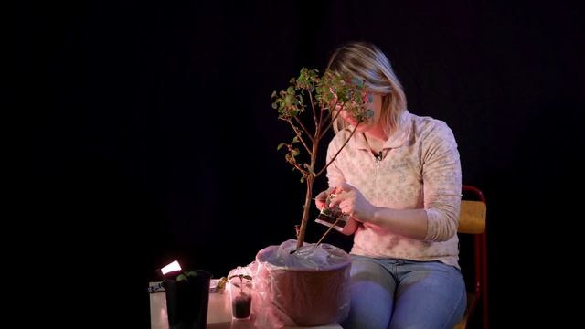 Мастер класс "Укоренение фуксии" смотреть онлайн