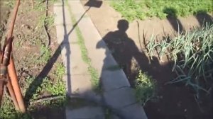Самодельный электрический опрыскиватель