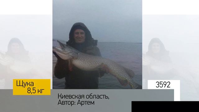 Фотоальбом - Рыбалка №718 смотреть онлайн