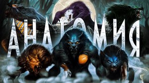 Отличия тела оборотня от обычного человека | Биология ликантропии