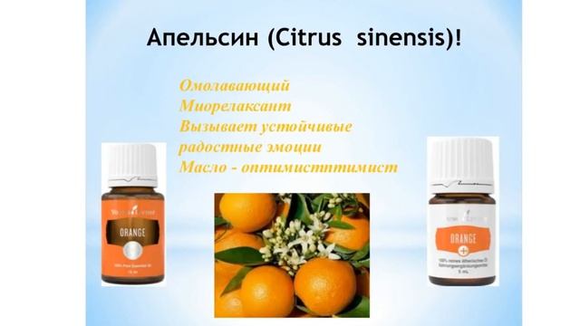 Стартовый набор Young Living Наталья Шнайдер смотреть онлайн
