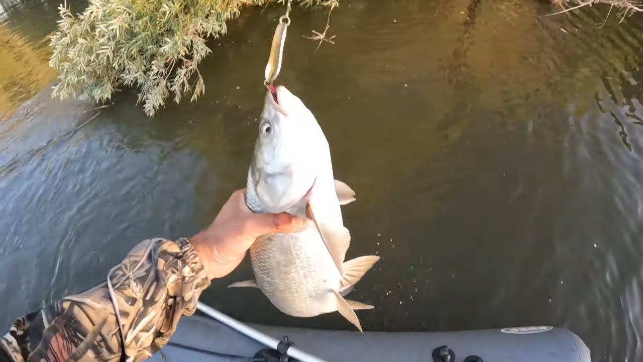 ЭТОТ СВИРЕПЫЙ РЕЧНОЙ ХИЩНИК ПРОСТО ТАК НЕ СДАЕТСЯ! ЖОР ЖЕРЕХА. смотреть онлайн