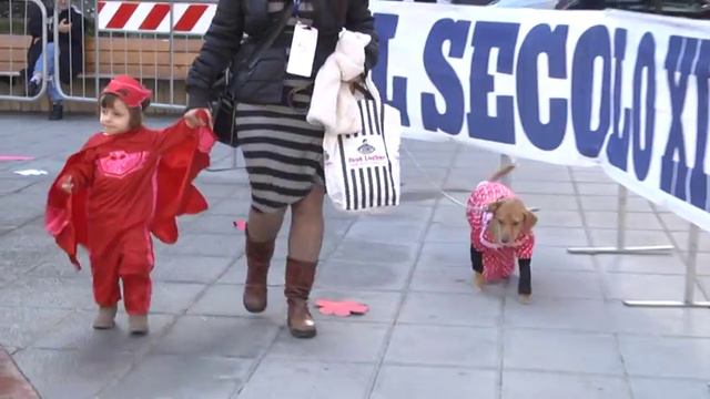 Carnevale a quattro zampe 10-02-2018 смотреть онлайн