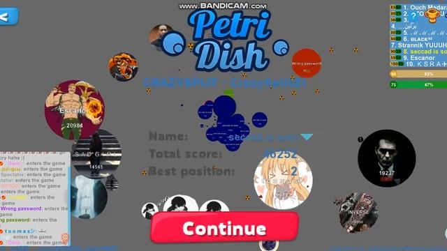 petridish.pw the best player смотреть онлайн