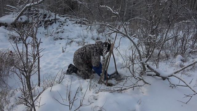 Охота на бобра #24.3 \ Проверка капканов \ Хороший вес 30.300 смотреть онлайн