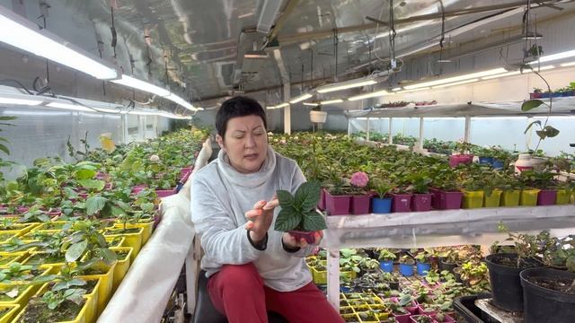 Мороз, перехватило трубу. Часть 2