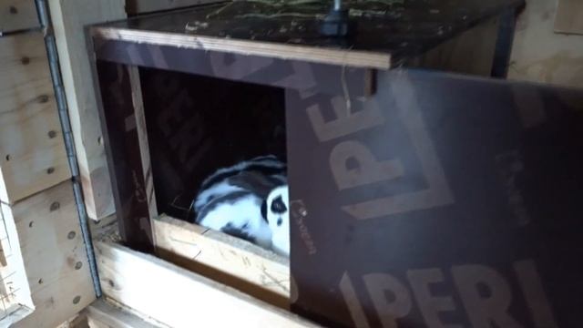 Клетки для кроликов из Европаллет Германия смотреть онлайн