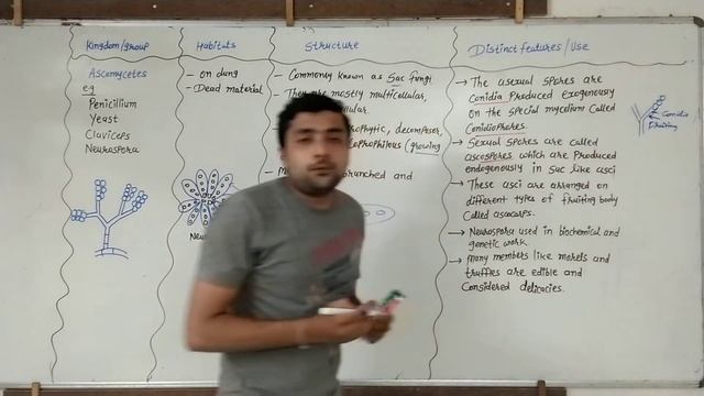 #Class 11#ch 2#ascomycetes#biology# смотреть онлайн