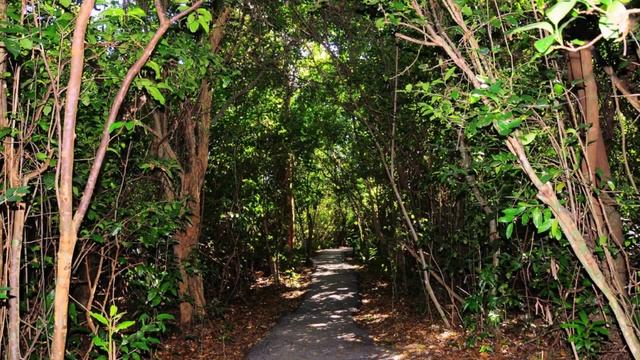 © 'Национальный парк Эверглейдс' Florida St , Everglades NP смотреть онлайн