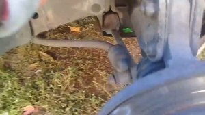 Как заменить передние пружины без нарушения