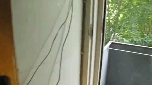 glitch, fault java script stream Cambozola V0.93 - глюк видеопотока скрипта Cambozola V0.93 смотреть онлайн