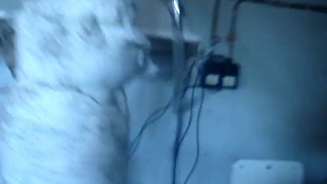 вариант без экстрактора смотреть онлайн