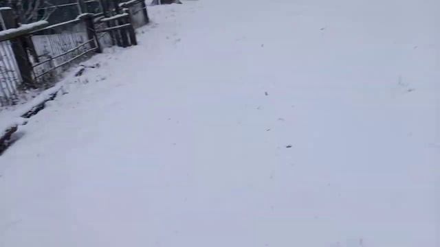 Зимняя сказка пришла в Брянскую область! Буран, снегопад, пейзажи! 19 декабря 2021 года смотреть онлайн