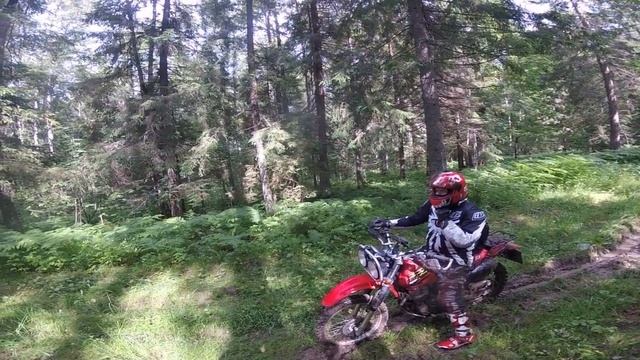 Осинушка 2017 смотреть онлайн