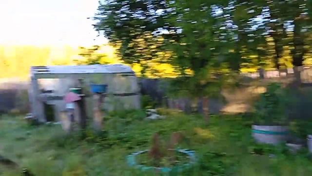 Сон!Про мертвечину в еду и без привычных продуктов в будущем ! смотреть онлайн