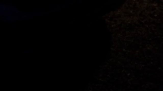 Ford Focus MK 2 1.8 TDCI Auspuffanlage ab Turbo смотреть онлайн