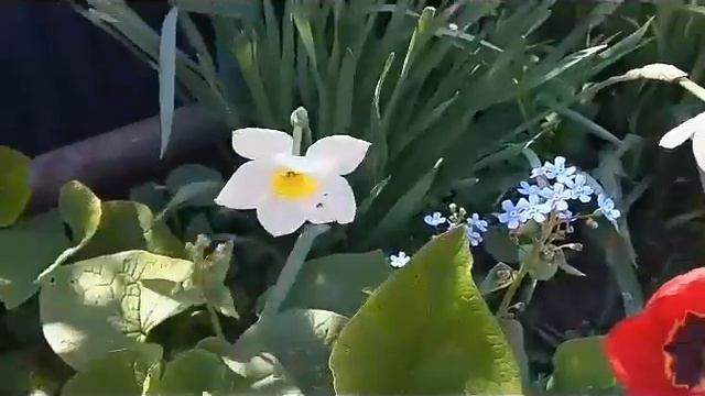 VLOG: на даче 🌷🌷🌷 смотреть онлайн