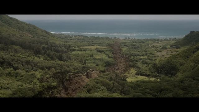 Godzilla & Kong in 5 Minutes смотреть онлайн