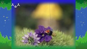 Вечер в Шишкином Лесу. Сказка. Быть самим собой