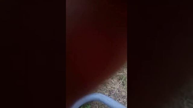 Mon 200 top1 смотреть онлайн