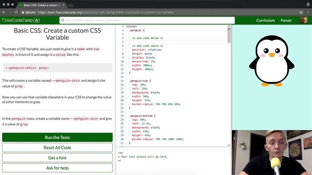 Basic CSS - Create a custom CSS Variable - freeCodeCamp смотреть онлайн