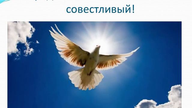 Урок добропорядочности Шукутпаева 10 11 кл Житикара. Школа-лицей № 3 смотреть онлайн