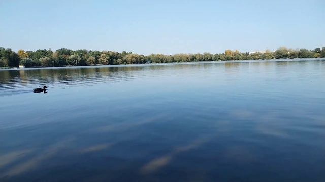 Саня Ха - Судный день (31.08.23) смотреть онлайн