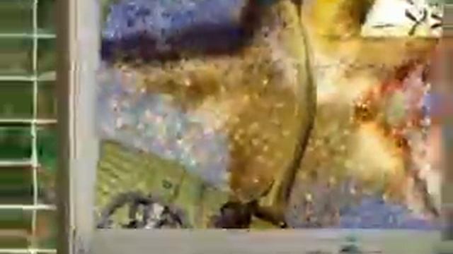 Брюссель (Бельгия) сентябрь 2010 год смотреть онлайн