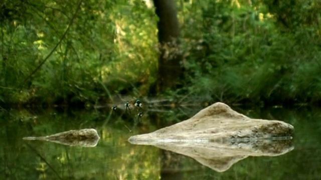 Minuscule - Volume 1 (dvdrip, xvid) смотреть онлайн