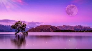 Clair De Lune - 1 Hour Beautiful Classical Music -  Debussy -  Relaxation - Soft Piano - Sleep
