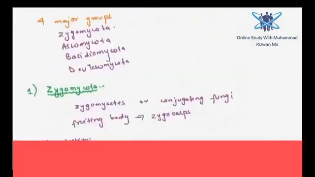 FSc Biology Book1, CH 8, LEC 5: Classification of Fungi – Zygomycota and Ascomycota смотреть онлайн
