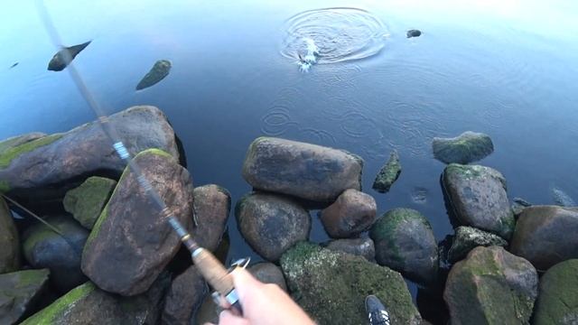 Крупный Окунь на Маяке /Рыбалка в Латвии! смотреть онлайн