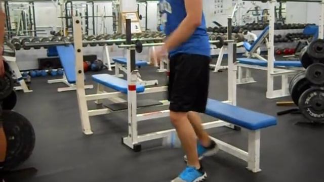 GATOROID!!!!!!!!!!!!!! смотреть онлайн