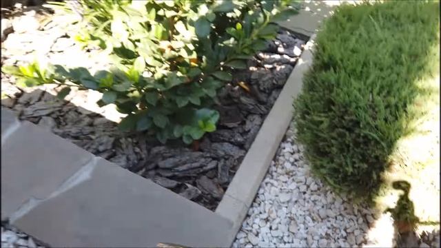 Лучший способ избавления от сорняков без гербицидов смотреть онлайн