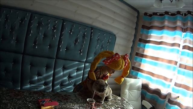 МамЭля и Маруся "Творческая личность" смотреть онлайн