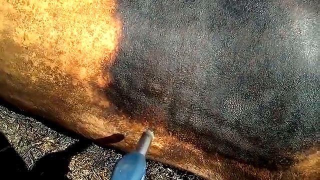 Газовая мини горелка. смотреть онлайн