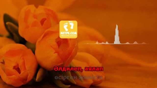 Ана туралы жыр КАРАОКЕ смотреть онлайн