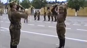 Проверка 239 мсп Перлеберг 1 часть 1