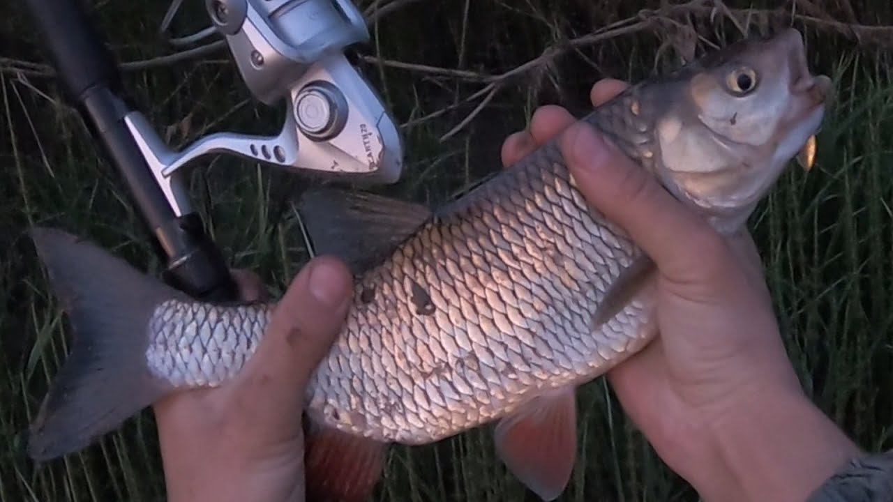 Relax. Fishing. Nature смотреть онлайн